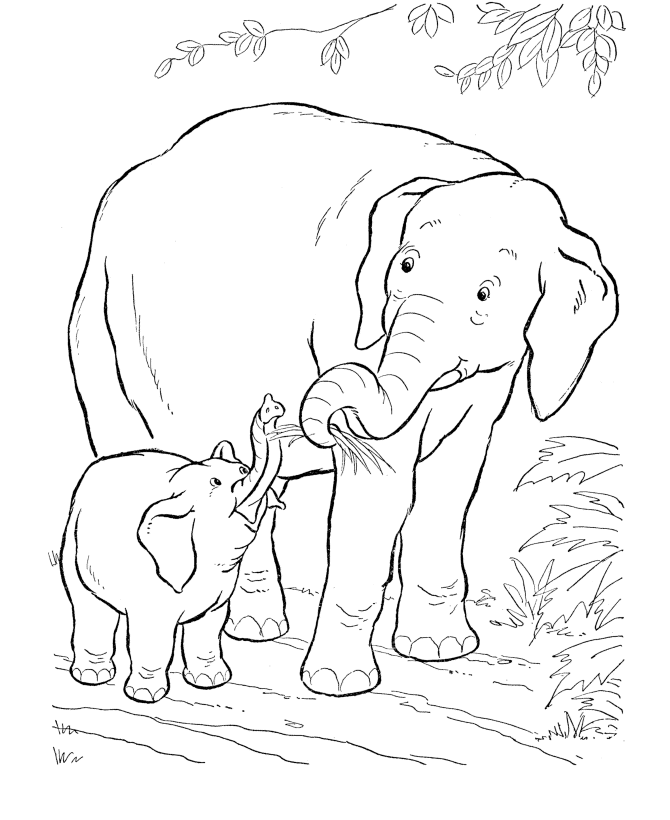 Plansa de colorat cu Elefant 56 52